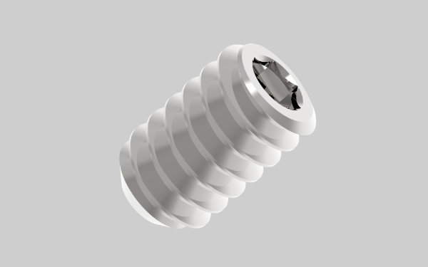 GB24 Grub Screws